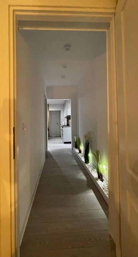 Oxana Apartments - 3 Camere - تيميشورا المظهر الخارجي الصورة