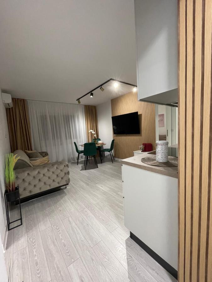 Oxana Apartments - 3 Camere - تيميشورا المظهر الخارجي الصورة