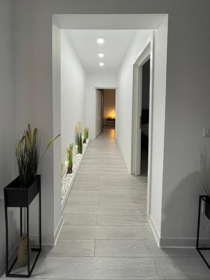Oxana Apartments - 3 Camere - تيميشورا المظهر الخارجي الصورة