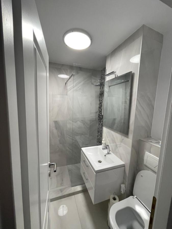 Oxana Apartments - 3 Camere - تيميشورا المظهر الخارجي الصورة