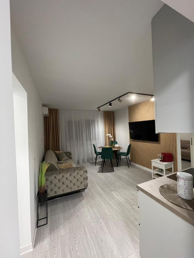 Oxana Apartments - 3 Camere - تيميشورا المظهر الخارجي الصورة