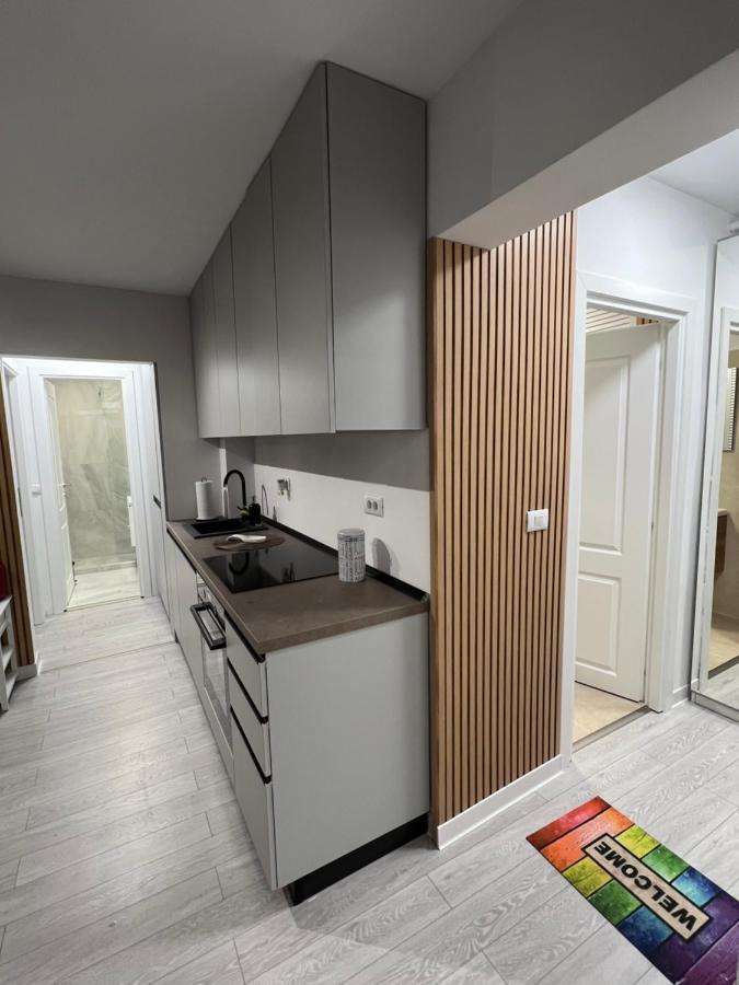Oxana Apartments - 3 Camere - تيميشورا المظهر الخارجي الصورة