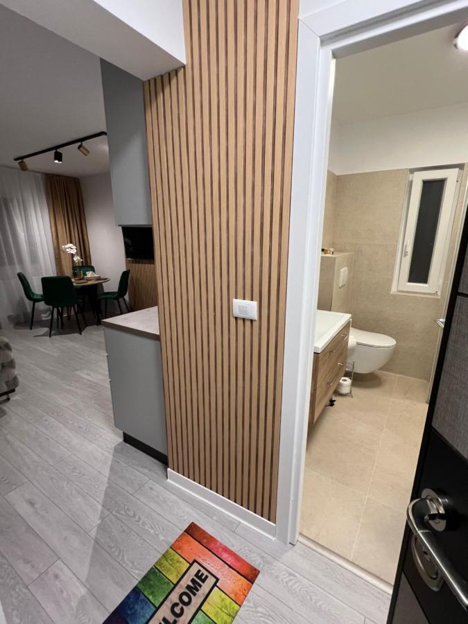 Oxana Apartments - 3 Camere - تيميشورا المظهر الخارجي الصورة