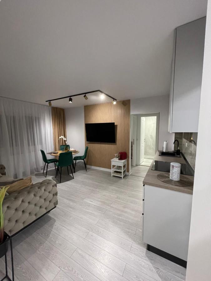 Oxana Apartments - 3 Camere - تيميشورا المظهر الخارجي الصورة
