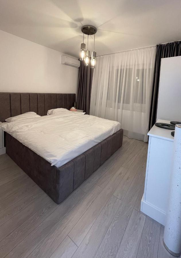 Oxana Apartments - 3 Camere - تيميشورا المظهر الخارجي الصورة