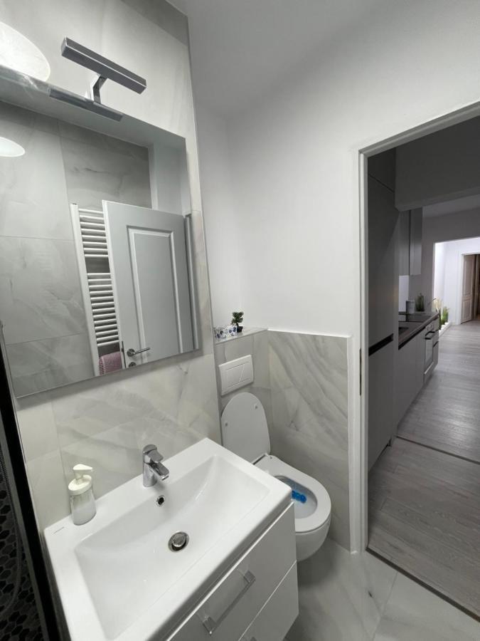 Oxana Apartments - 3 Camere - تيميشورا المظهر الخارجي الصورة