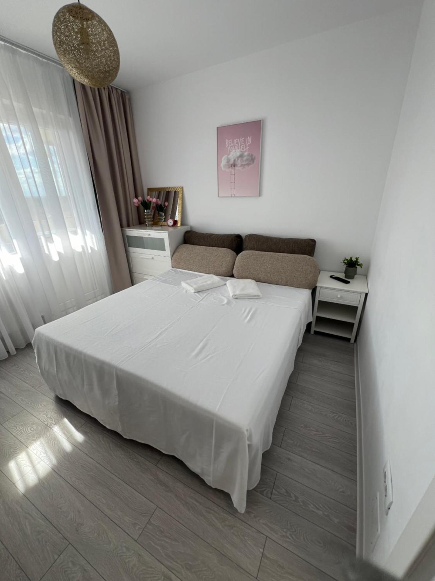 Oxana Apartments - 3 Camere - تيميشورا المظهر الخارجي الصورة