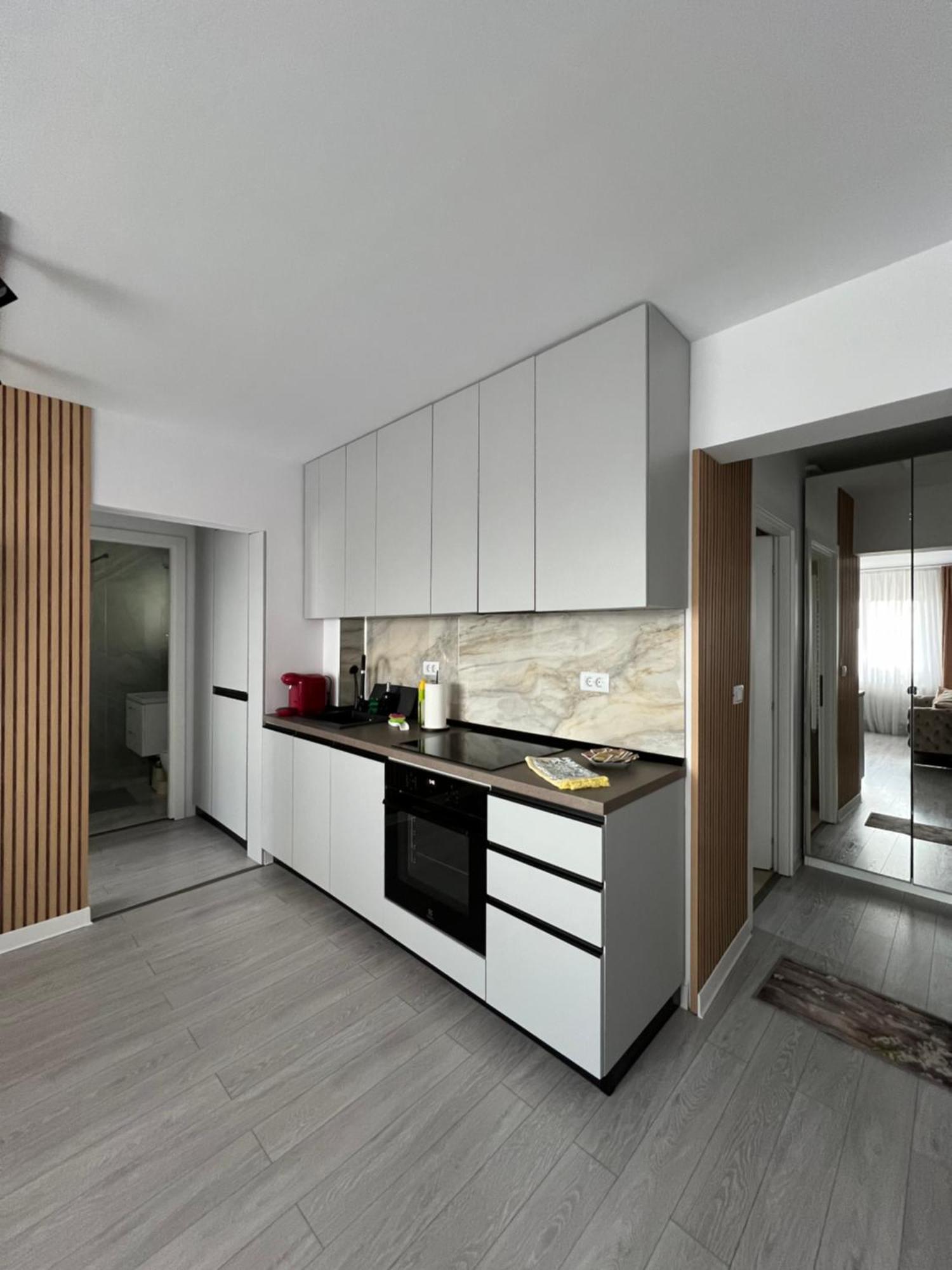 Oxana Apartments - 3 Camere - تيميشورا المظهر الخارجي الصورة