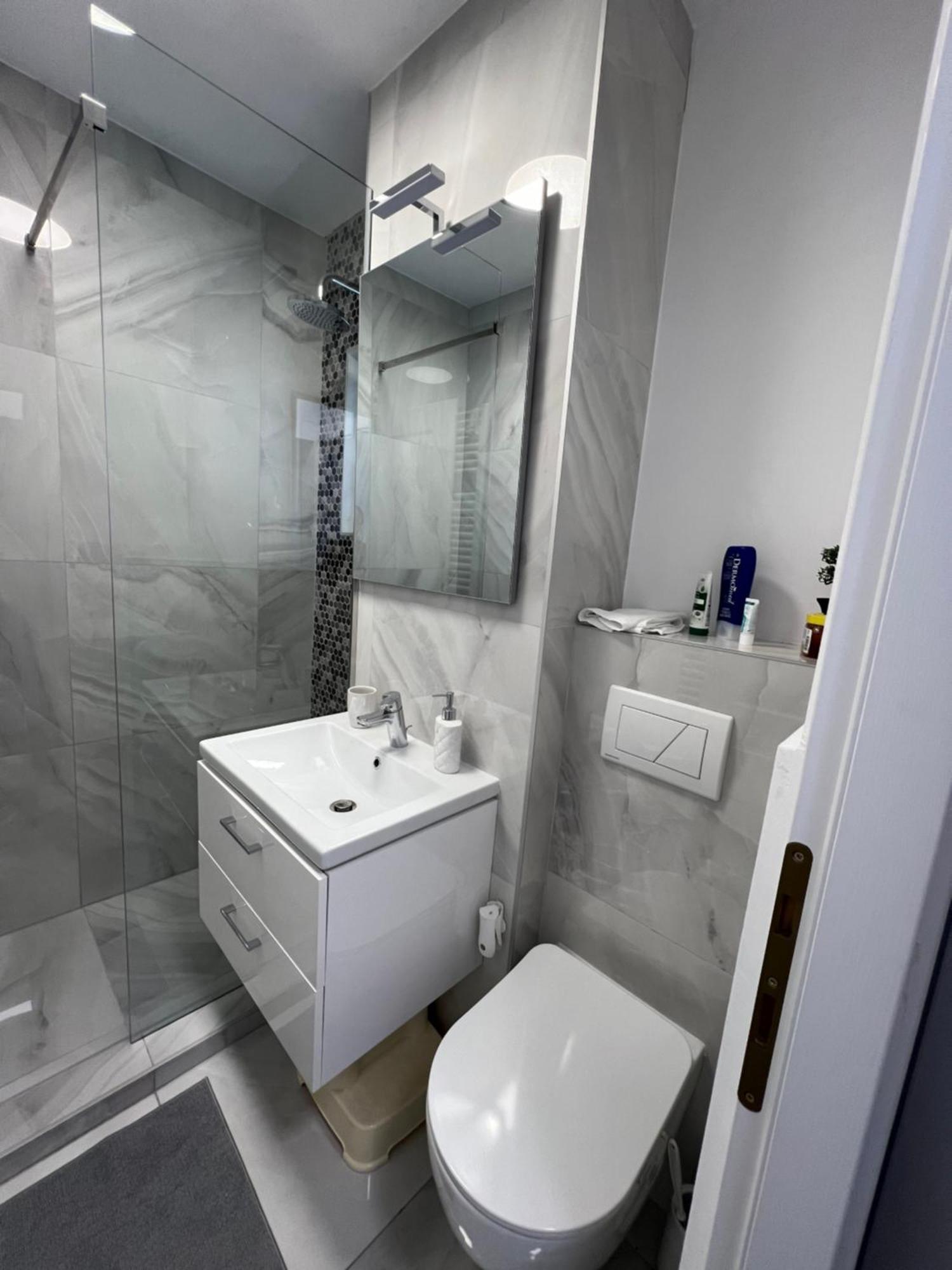 Oxana Apartments - 3 Camere - تيميشورا المظهر الخارجي الصورة